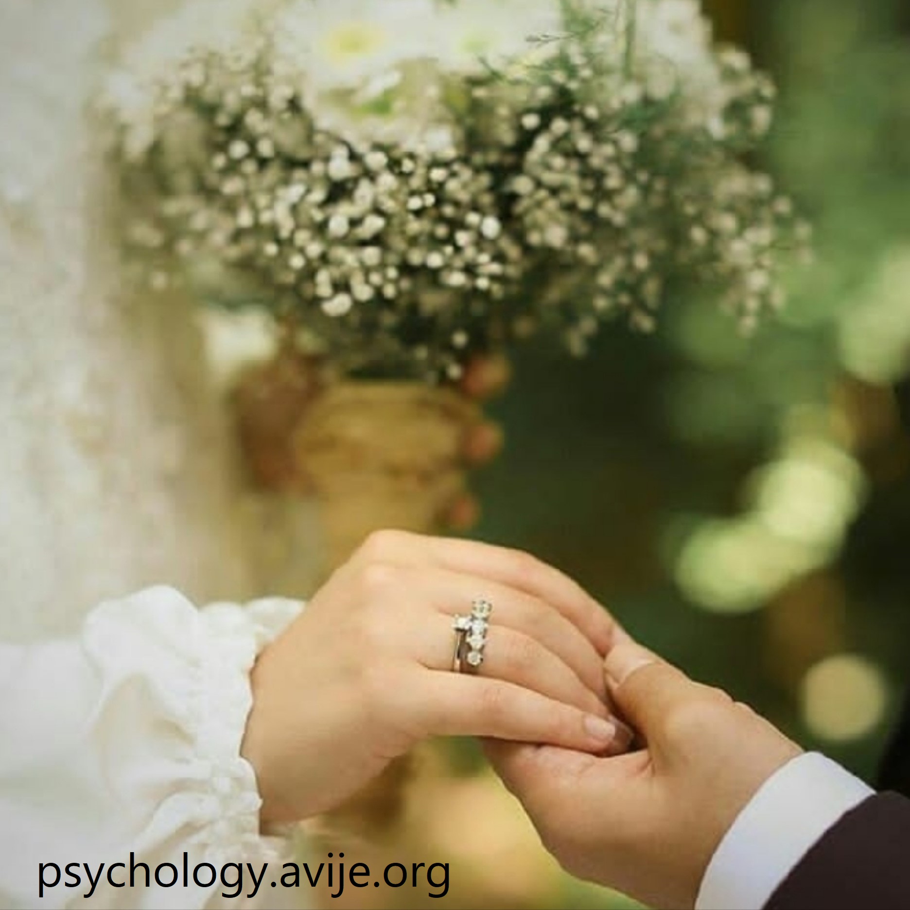 بهترین مرکز