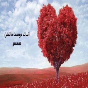 اثبات دوست داشتن همسر چگونه است؟