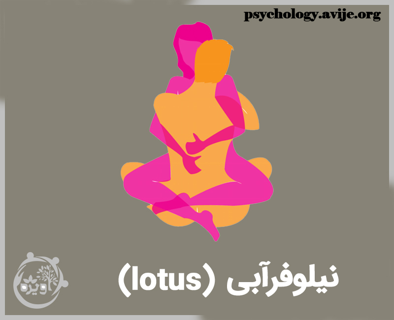 پوزیشن لوتوس یا نیلوفر آبی