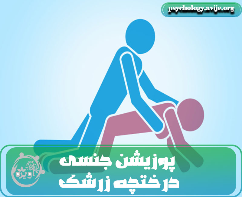 پوزیشن درختچه زرشک