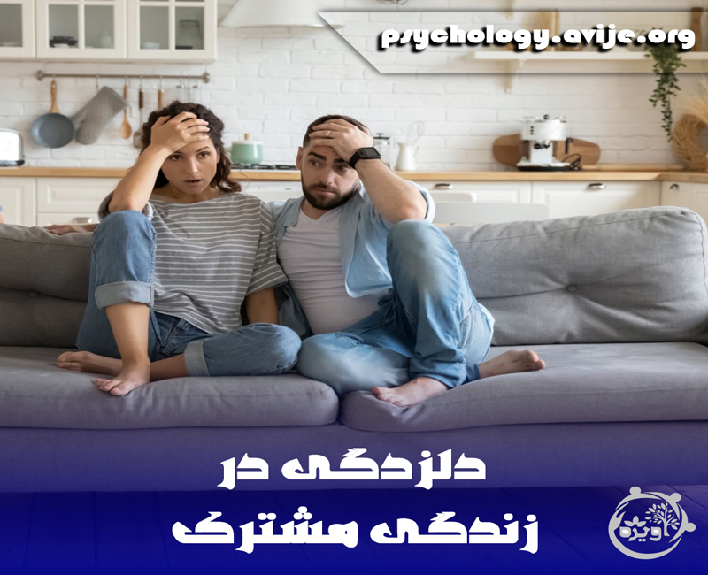 دلزدگی از زندگی