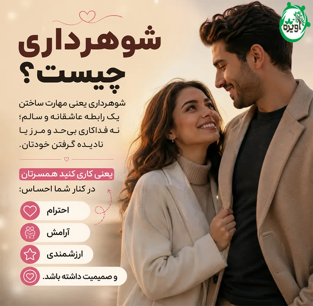 شوهر داری چیست