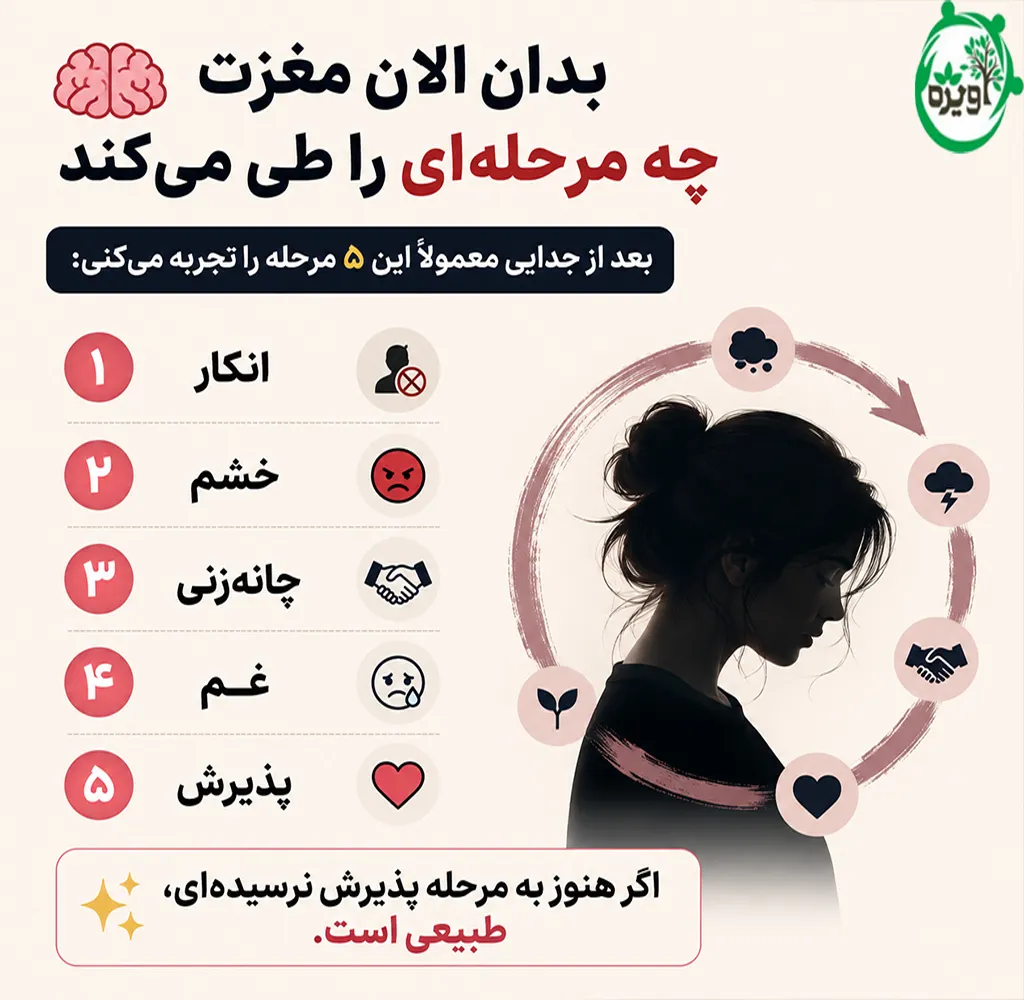 شکست عشقی چیست