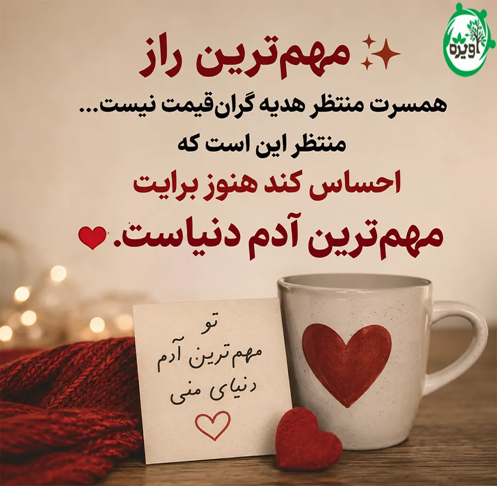 سورپرایز همسر
