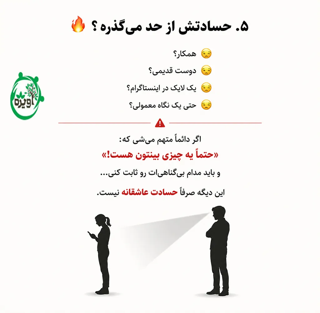 دوست پسر کنترل گر